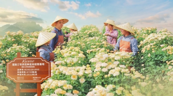：蔻斯汀花瓣沐浴露连续三年全球销量第一PG麻将胡了免费试玩模拟器市场地位证明(图4)